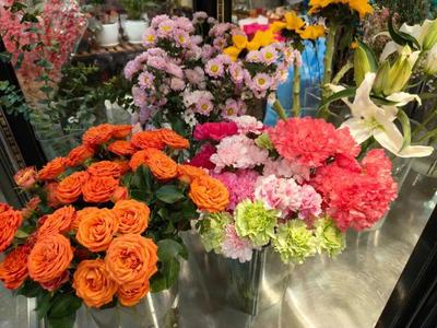 年銷花卉為春節(jié)添彩，禮品花卉銷售迎熱潮